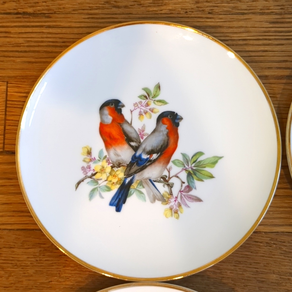 Vintage Set of Six Birds and Botanical Unique China Plates - Picture 7 of 8